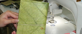 How This Thai Entrepreneur Makes Leather From Leaves