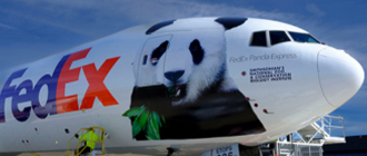 How To Ship A Giant Panda