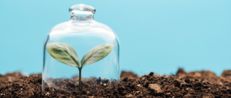 Has Your Business Found The Link Between Sustainability And Innovation?