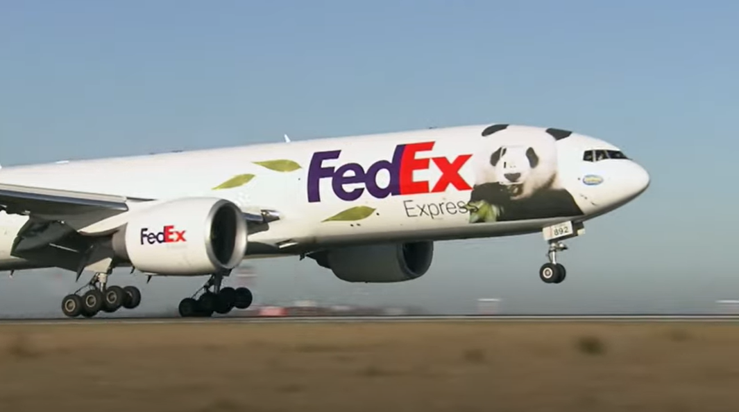 FedEx delivers giant panda screenshot