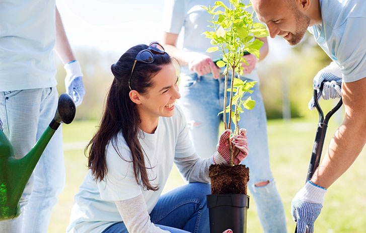 Woman and man smiling planting small tree