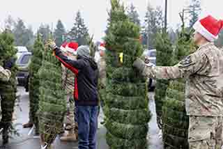 Troops picking out Christmas trees