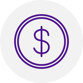 USD Currency icon