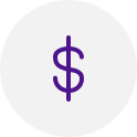 Currency icon