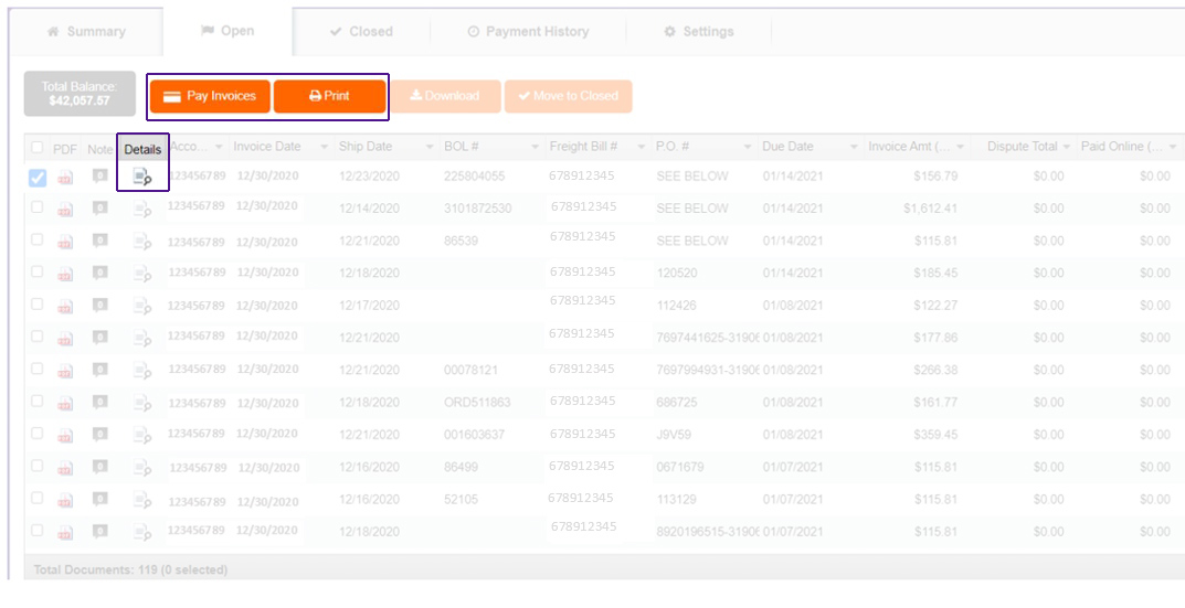 select invoice details to dispute screenshot