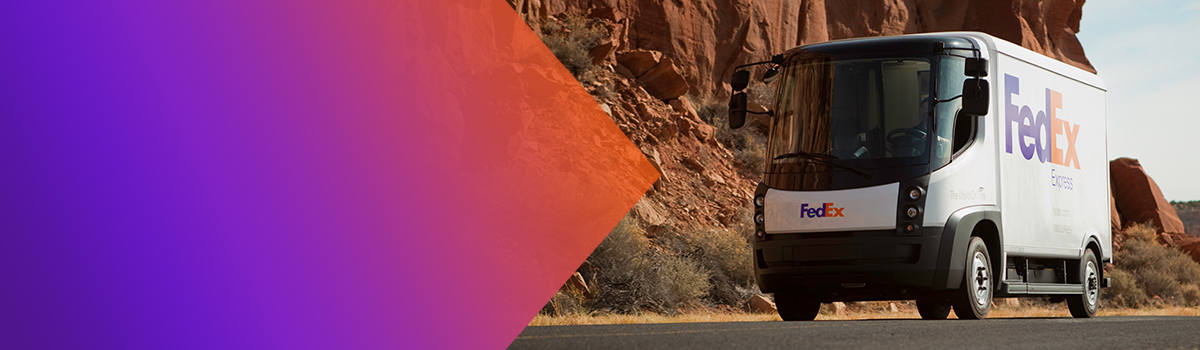 FedEx Express van with scenic canyon background